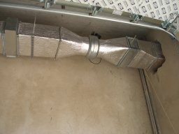P6160041
